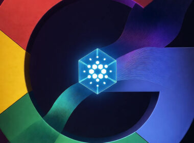 Why Did Google Choose Cardano over Circle?