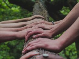 The Cardano Community